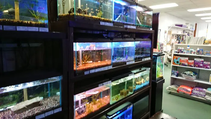 Indoor Fins Aquatic Pets Picture 7