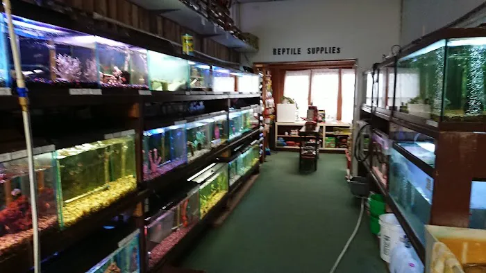 Indoor Fins Aquatic Pets Picture 3