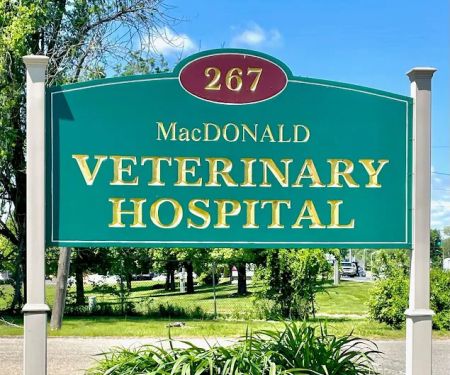 MacDonald Veterinary Hospital, Inc.