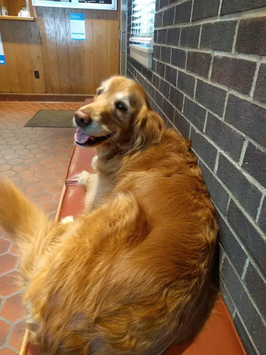 MacDonald Veterinary Hospital, Inc. Picture 5