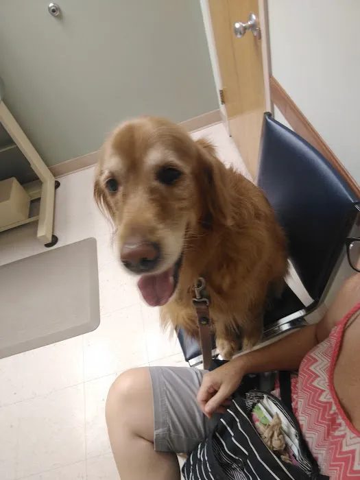 MacDonald Veterinary Hospital, Inc. Picture 2