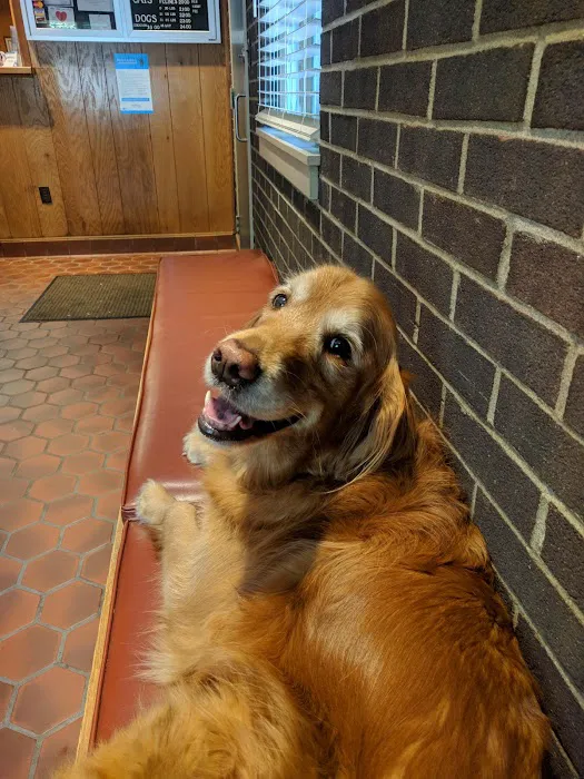 MacDonald Veterinary Hospital, Inc. Picture 3