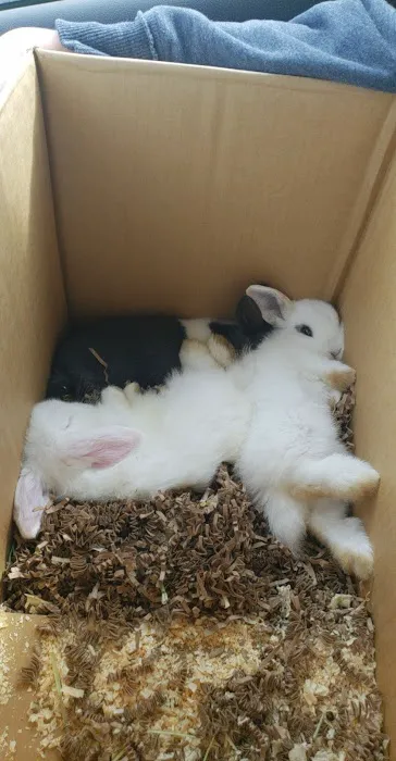 Faribault Animal Center Picture 1