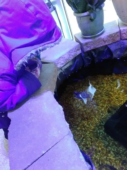 Uncle Earl's Pet Center Picture 2