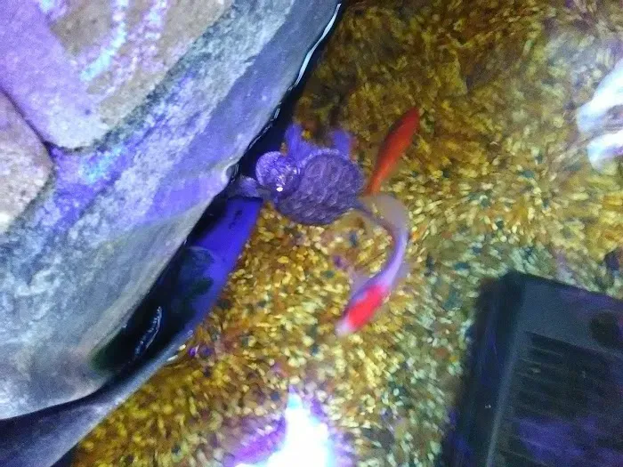 Uncle Earl's Pet Center Picture 1