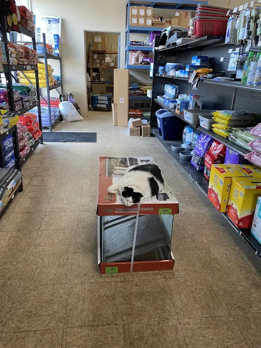 Uncle Earl's Pet Center Picture 9