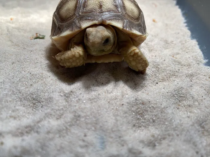 Happy Tails Pet Store Picture 1