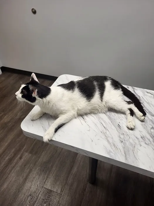Aqueduct Animal Hospital Picture 1