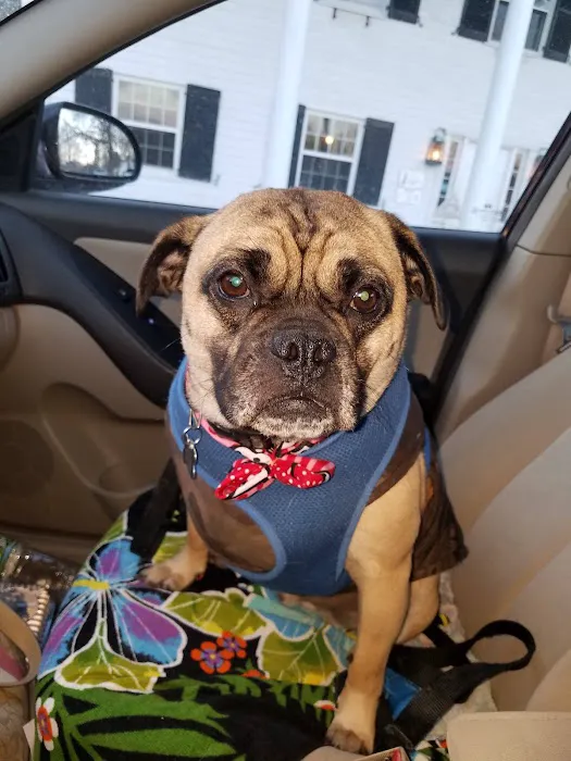 Aqueduct Animal Hospital Picture 8