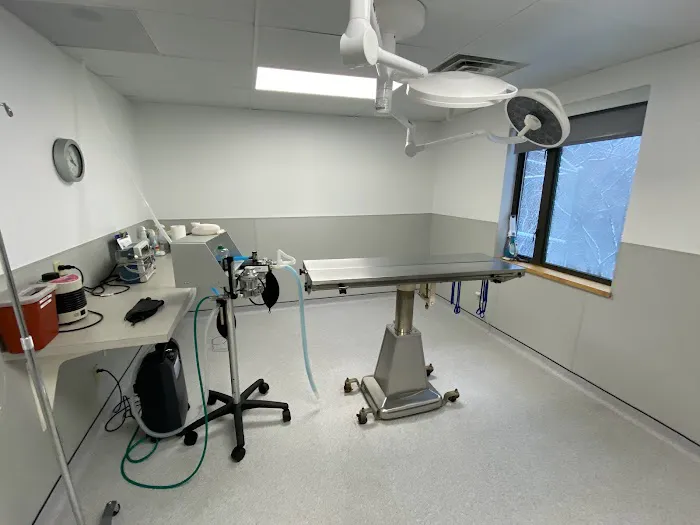 Aqueduct Animal Hospital Picture 4