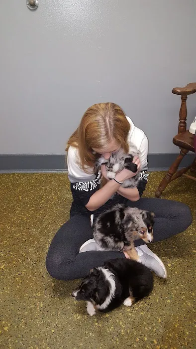Aqueduct Animal Hospital Picture 2