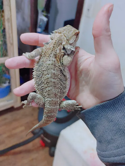 Pets & Fish Picture 4