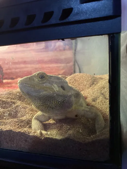 Pets & Fish Picture 5
