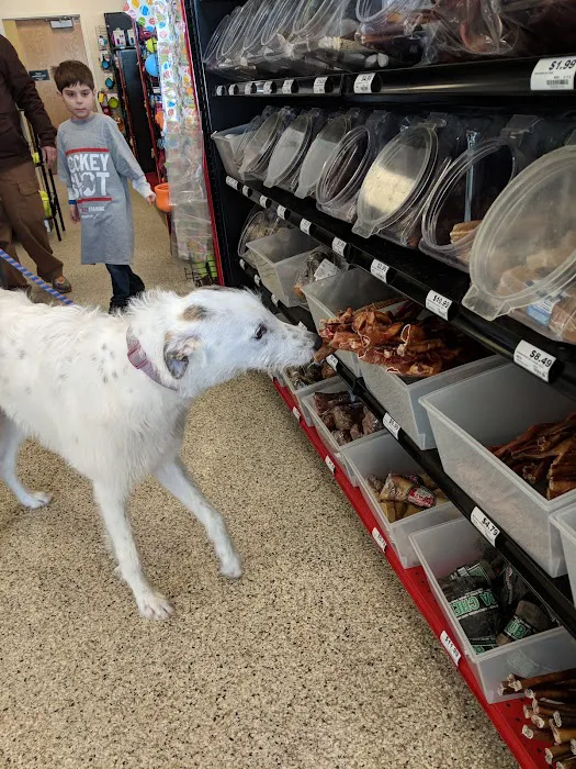 Chuck & Don's Pet Food & Supplies Picture 7