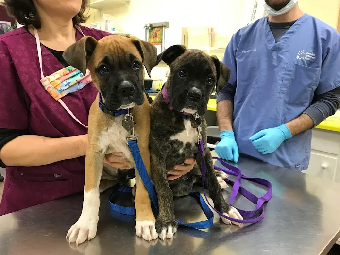 Glenville Veterinary Clinic Picture 5