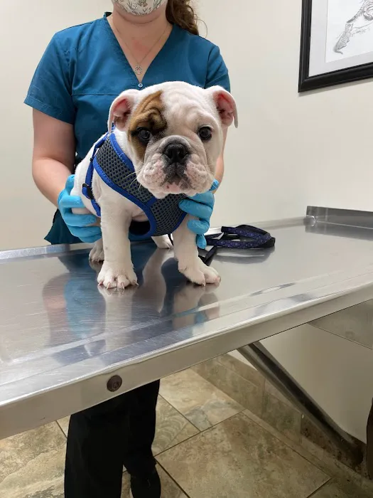 Glenville Veterinary Clinic Picture 1