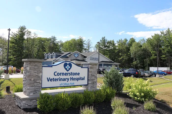 Cornerstone Veterinary Hospital of Clifton Park Picture 5