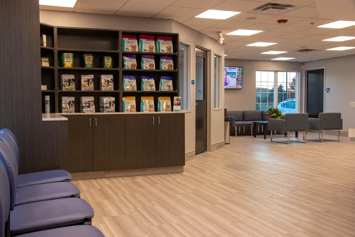 Cornerstone Veterinary Hospital of Clifton Park Picture 7