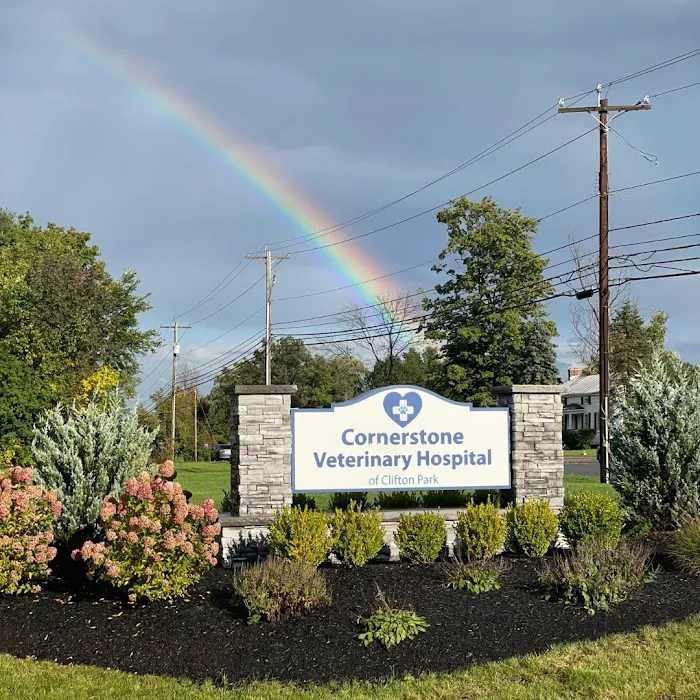 Cornerstone Veterinary Hospital of Clifton Park Picture 8