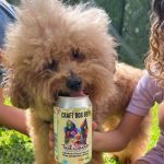 Tailwagger LLC