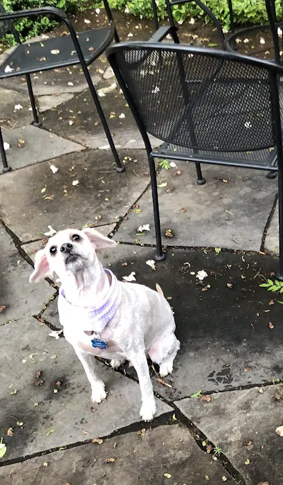 Kriser's Natural Pet Picture 7