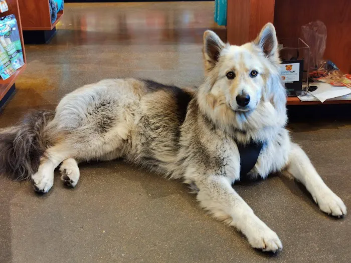 Kriser's Natural Pet Picture 8