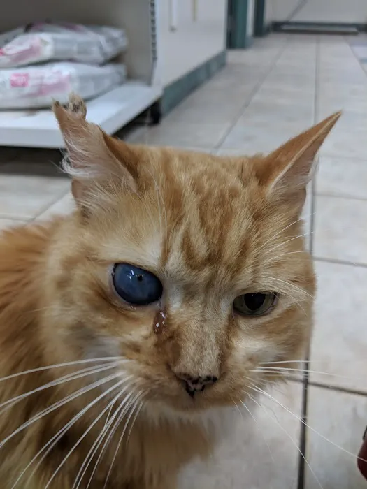 Halfmoon Veterinary Hospital Picture 6