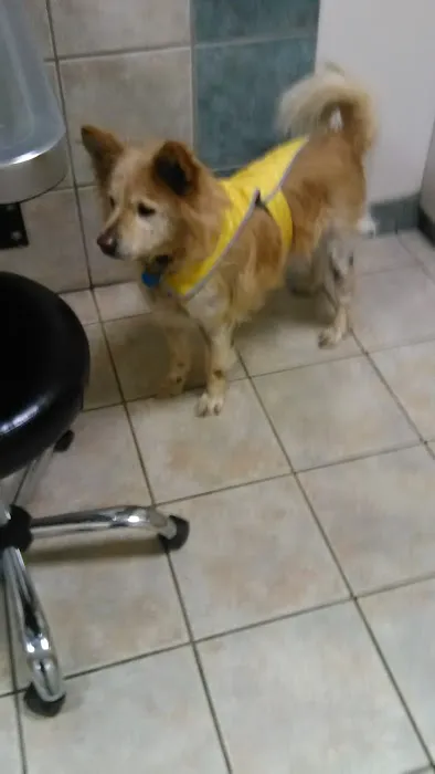 Halfmoon Veterinary Hospital Picture 3