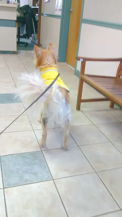 Halfmoon Veterinary Hospital Picture 1