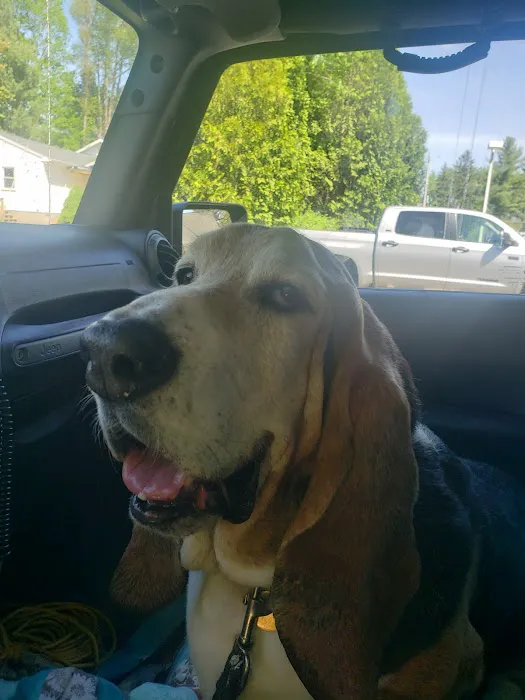 Halfmoon Veterinary Hospital Picture 10