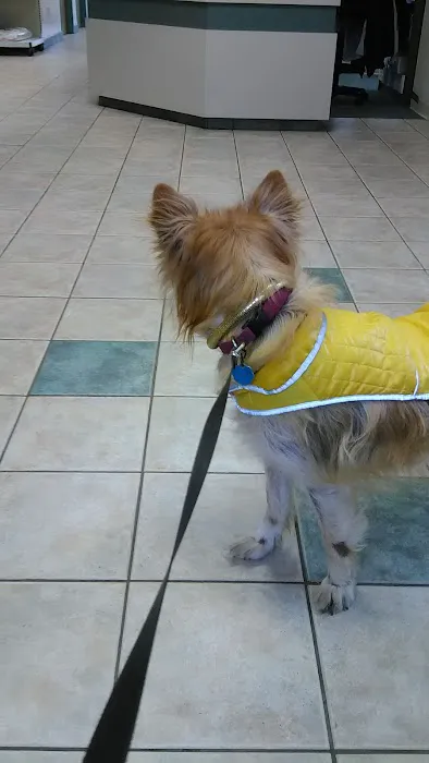 Halfmoon Veterinary Hospital Picture 4