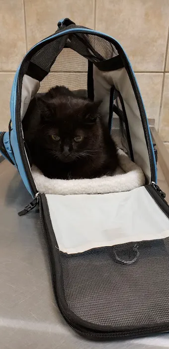 Halfmoon Veterinary Hospital Picture 5