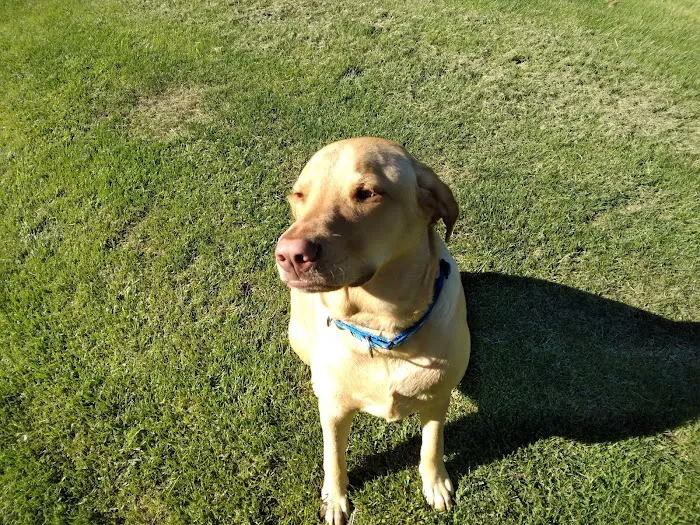 Halfmoon Veterinary Hospital Picture 9