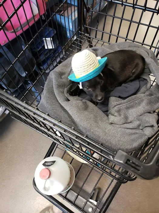 Petco Picture 6
