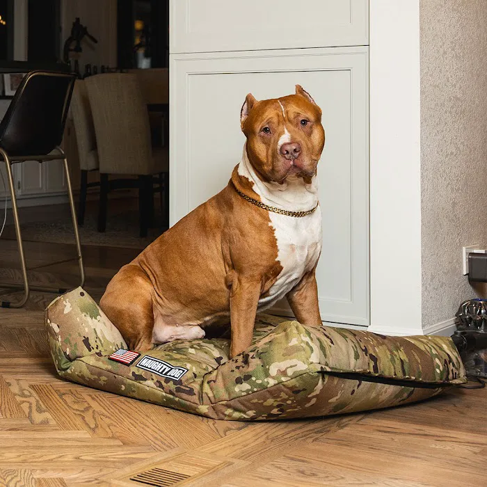 The Naughty Dog Picture 2