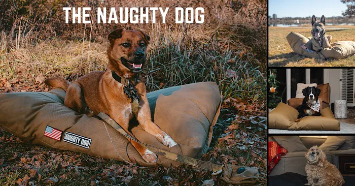 The Naughty Dog Picture 7