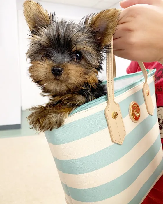 Milford Animal Hospital Picture 9