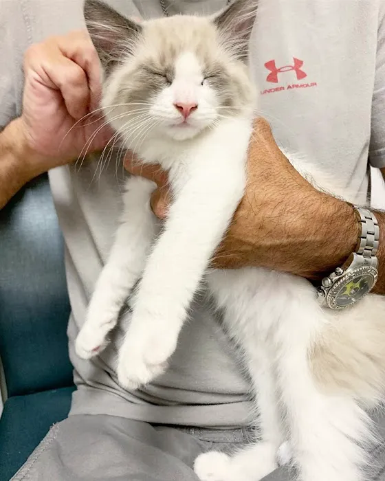 Milford Animal Hospital Picture 4