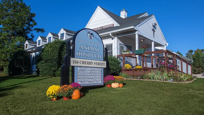 Milford Animal Hospital Picture 10