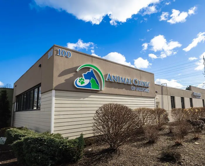 Animal Clinic of Milford Picture 9