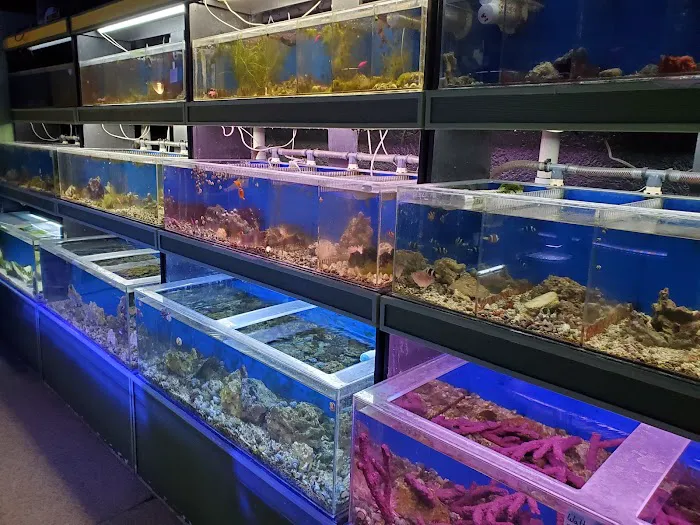 Fish Den Inc. Picture 2