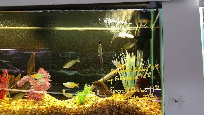 Fish Den Inc. Picture 1