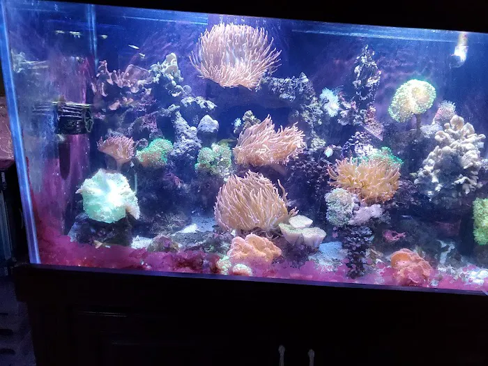Fish Den Inc. Picture 4