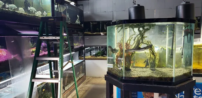 Fish Den Inc. Picture 10