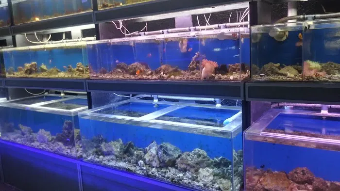 Fish Den Inc. Picture 9