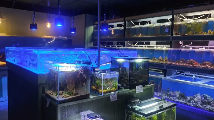 Fish Den Inc. Picture 8