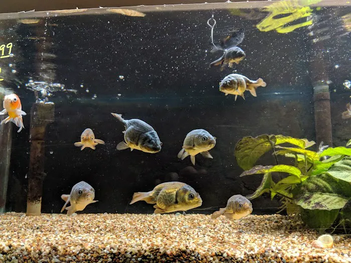 Fish Den Inc. Picture 7