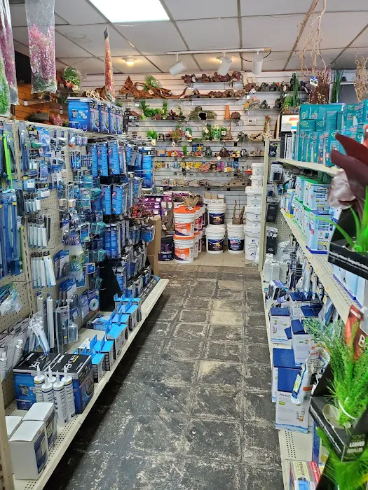 Fish Den Inc. Picture 5