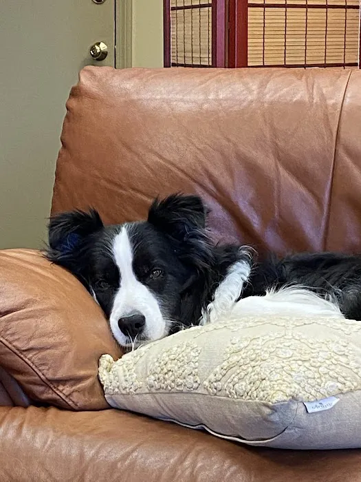 Pond Point Animal Hospital Picture 6