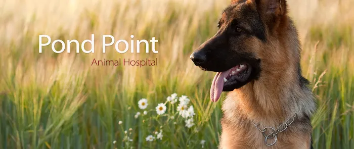 Pond Point Animal Hospital Picture 10